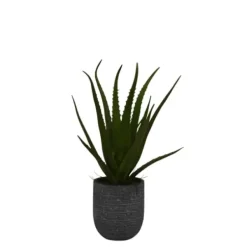 Arrangements & Greenery-Kirkland's Home Agave Arrangement In Gray Decorative Pot Green/Gray