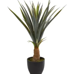 Trees & Topiaries-Kirkland's Home Agave In Planter, 30 In.