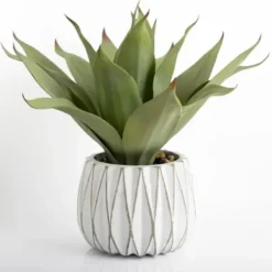 Arrangements & Greenery-Kirkland's Home Agave Succulent In White Pot Green/White