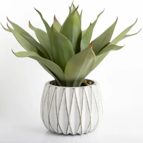 Arrangements & Greenery-Kirkland's Home Agave Succulent In White Pot Green/White