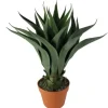 Arrangements & Greenery-Kirkland's Home Agave Succulent Plant In Terracotta Planter Green/Orange