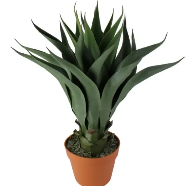 Arrangements & Greenery-Kirkland's Home Agave Succulent Plant In Terracotta Planter Green/Orange