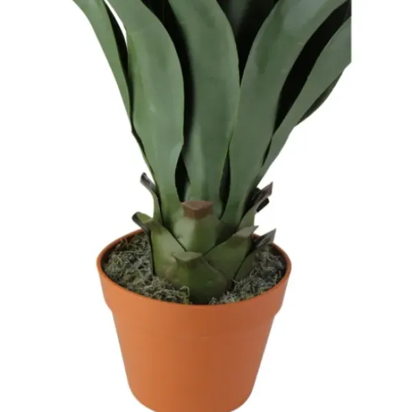 Arrangements & Greenery-Kirkland's Home Agave Succulent Plant In Terracotta Planter Green/Orange