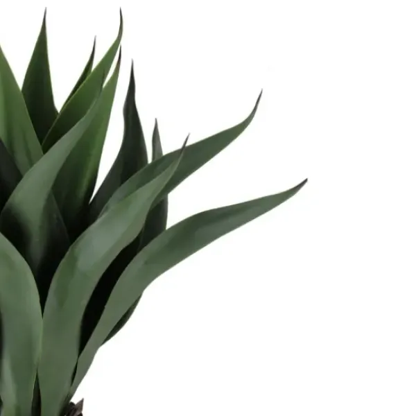 Arrangements & Greenery-Kirkland's Home Agave Succulent Plant In Terracotta Planter Green/Orange