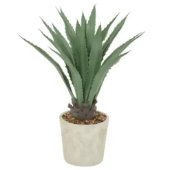 Arrangements & Greenery-Kirkland's Home Aloe Barbadensis In Pebble Planter Green/White