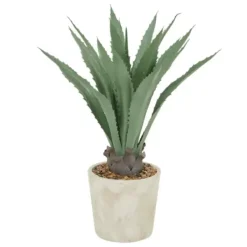 Arrangements & Greenery-Kirkland's Home Aloe Barbadensis In Pebble Planter Green/White