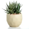 Arrangements & Greenery-Kirkland's Home Aloe Succulent Arrangement In Natural Pot Green