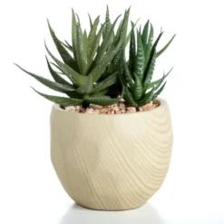 Arrangements & Greenery-Kirkland's Home Aloe Succulent Arrangement In Natural Pot Green