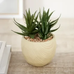 Arrangements & Greenery-Kirkland's Home Aloe Succulent Arrangement In Natural Pot Green