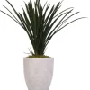 Arrangements & Greenery-Kirkland's Home Areca Grass In Mossy White Planter Green/White