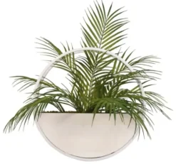 Arrangements & Greenery-Kirkland's Home Areca Palm In Round Sonce Planter Green/White