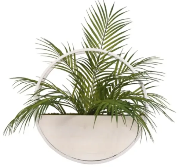 Arrangements & Greenery-Kirkland's Home Areca Palm In Round Sonce Planter Green/White