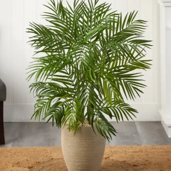 Trees & Topiaries-Kirkland's Home Areca Palm Tree In Sandy Planter