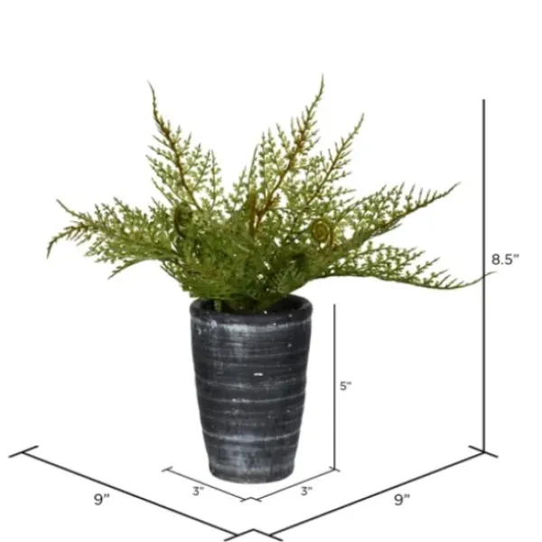 Arrangements & Greenery-Kirkland's Home Asparagus Fern In Tall Black Planter Green/Black