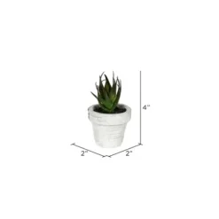 Arrangements & Greenery-Kirkland's Home Assorted Potted Succulent Arrangements, Set Of 6 Green/White