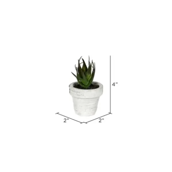Arrangements & Greenery-Kirkland's Home Assorted Potted Succulent Arrangements, Set Of 6 Green/White