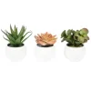 Arrangements & Greenery-Kirkland's Home Assorted Succulents In White Planters, Set Of 3 Green/White/Orange
