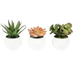 Arrangements & Greenery-Kirkland's Home Assorted Succulents In White Planters, Set Of 3 Green/White/Orange