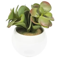 Arrangements & Greenery-Kirkland's Home Assorted Succulents In White Planters, Set Of 3 Green/White/Orange
