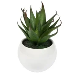 Arrangements & Greenery-Kirkland's Home Assorted Succulents In White Planters, Set Of 3 Green/White/Orange