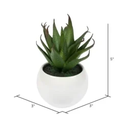 Arrangements & Greenery-Kirkland's Home Assorted Succulents In White Planters, Set Of 3 Green/White/Orange