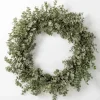 Wreaths-Kirkland's Home Baby Spiral Eucalyptus Wreath Green