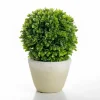 Arrangements & Greenery-Kirkland's Home Ball Boxwood Topiary In Cement Planter Green/Ivory
