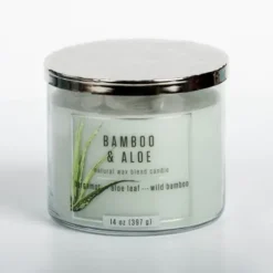 Candles-Kirkland's Home Bamboo Aloe 14 Oz. Triple Wick Jar Candle Green/Silver