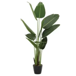 Trees & Topiaries-Kirkland's Home Banana Tree In Ribbed Rock Planter