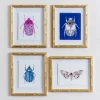 Framed Art-Kirkland's Home Beetles & Butterflies Framed Art Prints, Set Of 4 Pink/Blue/White