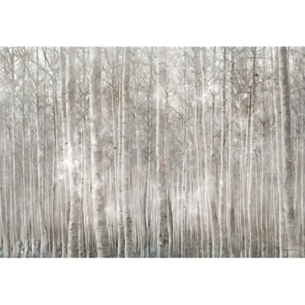 Canvas Art-Kirkland's Home Birch Trees Canvas Art Print Gray