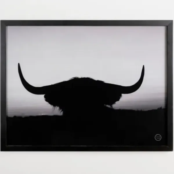 Framed Art-Kirkland's Home Black And White Bull Silhouette Framed Art Print Black/White