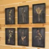 Framed Art-Kirkland's Home Black Botanical Framed Art Prints, Set Of 6 Black/Tan