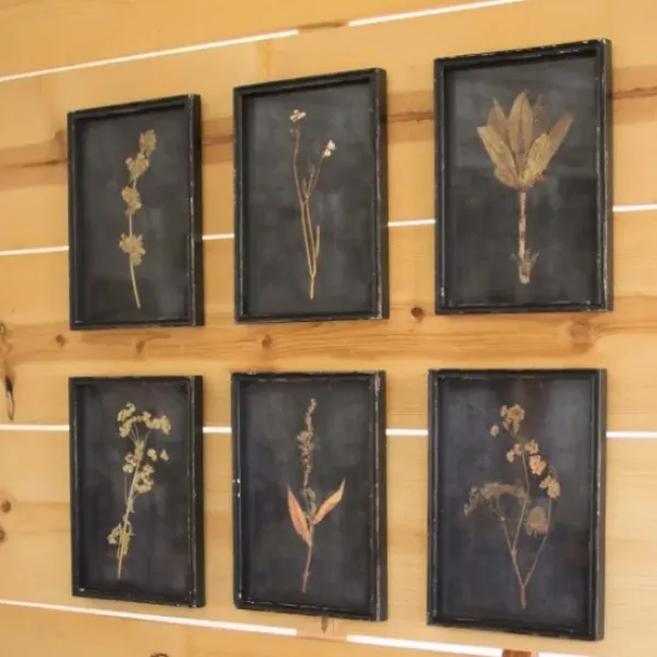 Framed Art-Kirkland's Home Black Botanical Framed Art Prints, Set Of 6 Black/Tan