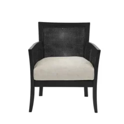 Accent Chairs-Kirkland's Home Black Cane Cushioned Accent Chair Gray