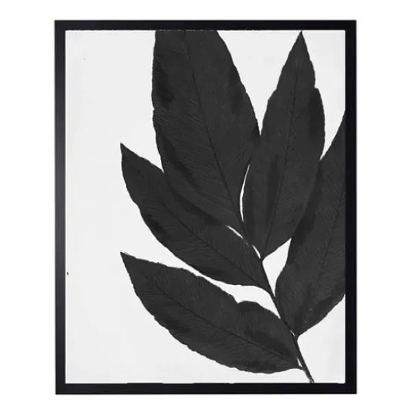 Framed Art-Kirkland's Home Black Cropped Leaf I Framed Art Print Black/White