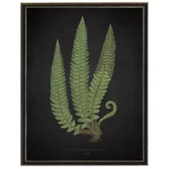 Framed Art-Kirkland's Home Black Fern I Framed Art Print Green/Black