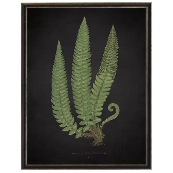 Framed Art-Kirkland's Home Black Fern I Framed Art Print Green/Black