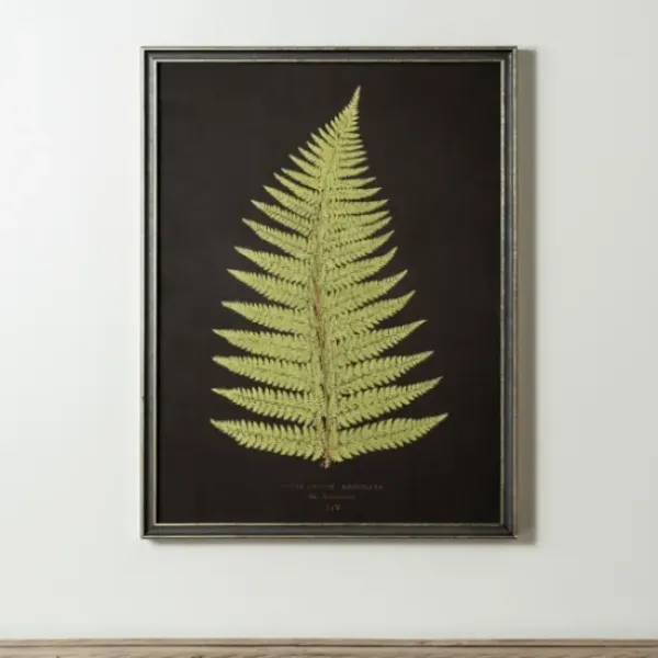 Framed Art-Kirkland's Home Black Fern Iv Framed Art Print Green/Black