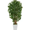 Trees & Topiaries-Kirkland's Home Black Olive Tree In White Planter, 5.5 Ft.