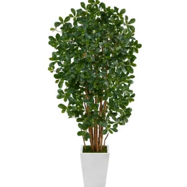 Trees & Topiaries-Kirkland's Home Black Olive Tree In White Planter, 5.5 Ft.