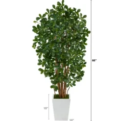 Trees & Topiaries-Kirkland's Home Black Olive Tree In White Planter, 5.5 Ft.