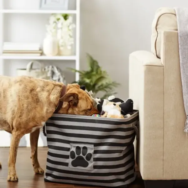 Baskets & Boxes-Kirkland's Home Black Paw Patch Stripe Rectangle Pet Basket Black/Gray