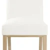 Dining Chairs-Kirkland's Home Blair Stain Proof Dining Chair White