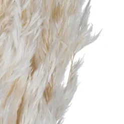 Stems & Bouquets-Kirkland's Home Bleached Preserved Plume Reed Bundles, Set Of 2 Ivory
