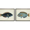 Wall Quotes & Signs-Kirkland's Home Blue Fish Framed Art Prints, Set Of 2 Blue/White