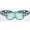 Wall Plaques-Kirkland's Home Blue Moth Wood Wall Plaque Blue/White