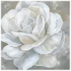 Canvas Art-Kirkland's Home Bombshell Bloom Ii Canvas Art Print, 20X20 In. White/Gray