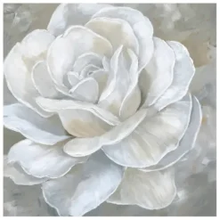 Canvas Art-Kirkland's Home Bombshell Bloom Ii Canvas Art Print, 20X20 In. White/Gray