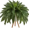 Trees & Topiaries-Kirkland's Home Boston Fern Arrangement In White Planter